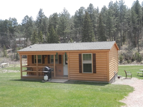 American Pines Cabin, 5 Miles from Mt. Rushmore!