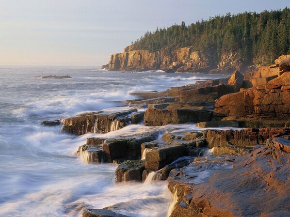 A coastal landscape with rocky formations and a forested cliff. - Brand new Apt B: 1 Bedroom 1 Bath in the Heart of Downtown Ellsworth (Ellsworth)