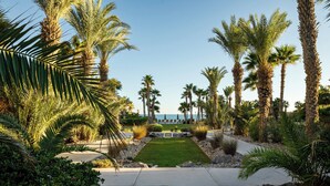 A pathway leading to a pool area surrounded by palm trees and well-maintained landscaping.