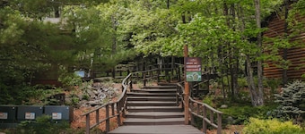 Jack Pines Resort