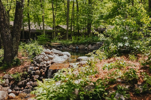 Jack Pines Resort