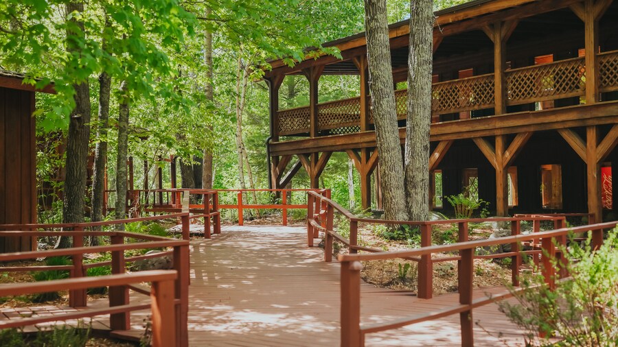 Jack Pines Resort