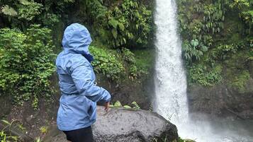 Una persona parada en un sendero rocoso cerca de una cascada en un bosque verde y frondoso.