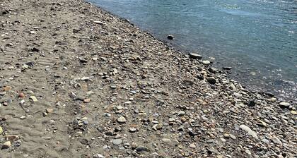 RIVERLIFE ON THE ROGUE RIVER