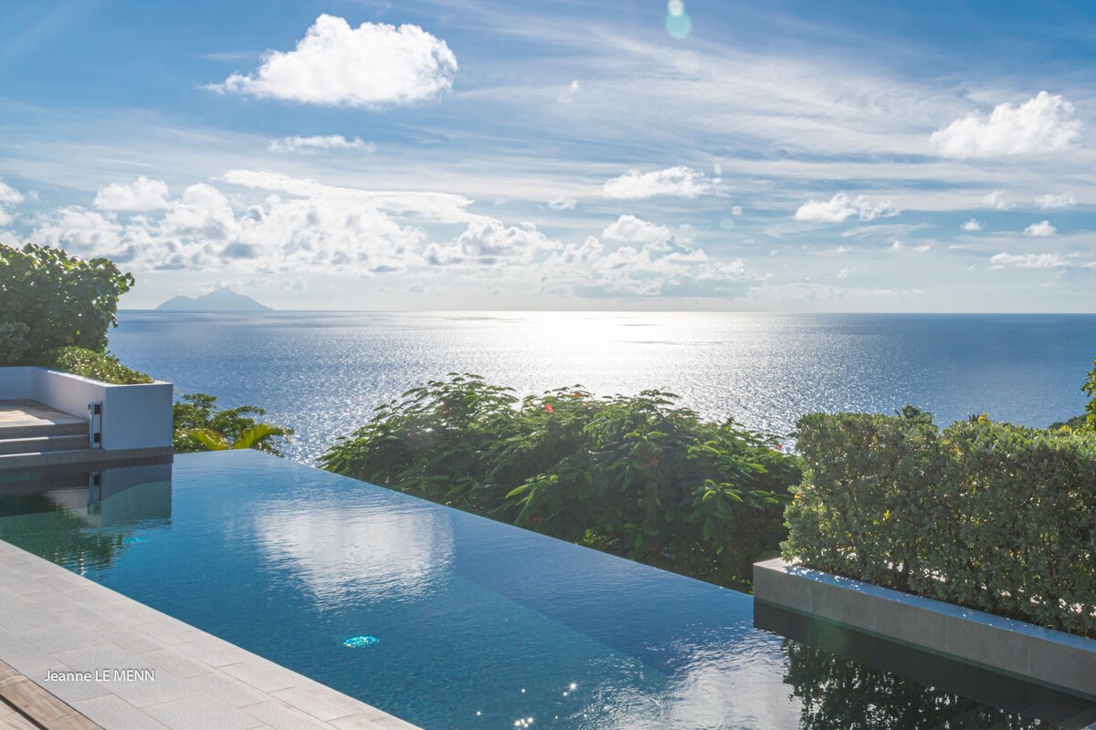 Villa Palm Springs in Gouverneur, St. Barth — infinity pool with ocean view