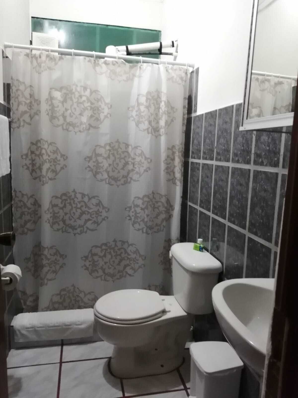 Shower, towels, soap, toilet paper