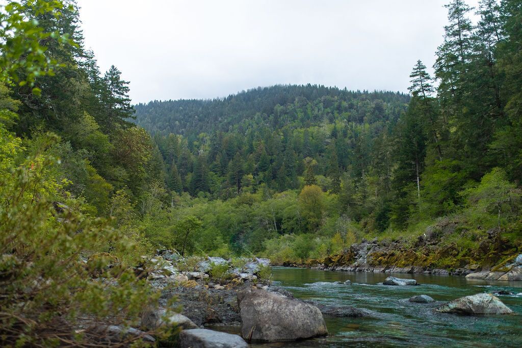 Un río rodeado de densa vegetación y terreno rocoso.