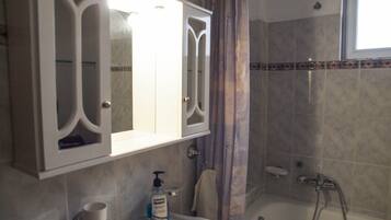Combined shower/tub, hair dryer