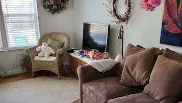 TV
