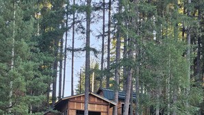 Een chalet met een terras dat uitsteekt over een waterpartij, omgeven door dicht bos.