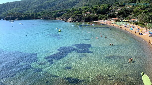 A beach with clear shallow waters, a sandy shore, and a backdrop of green hills.