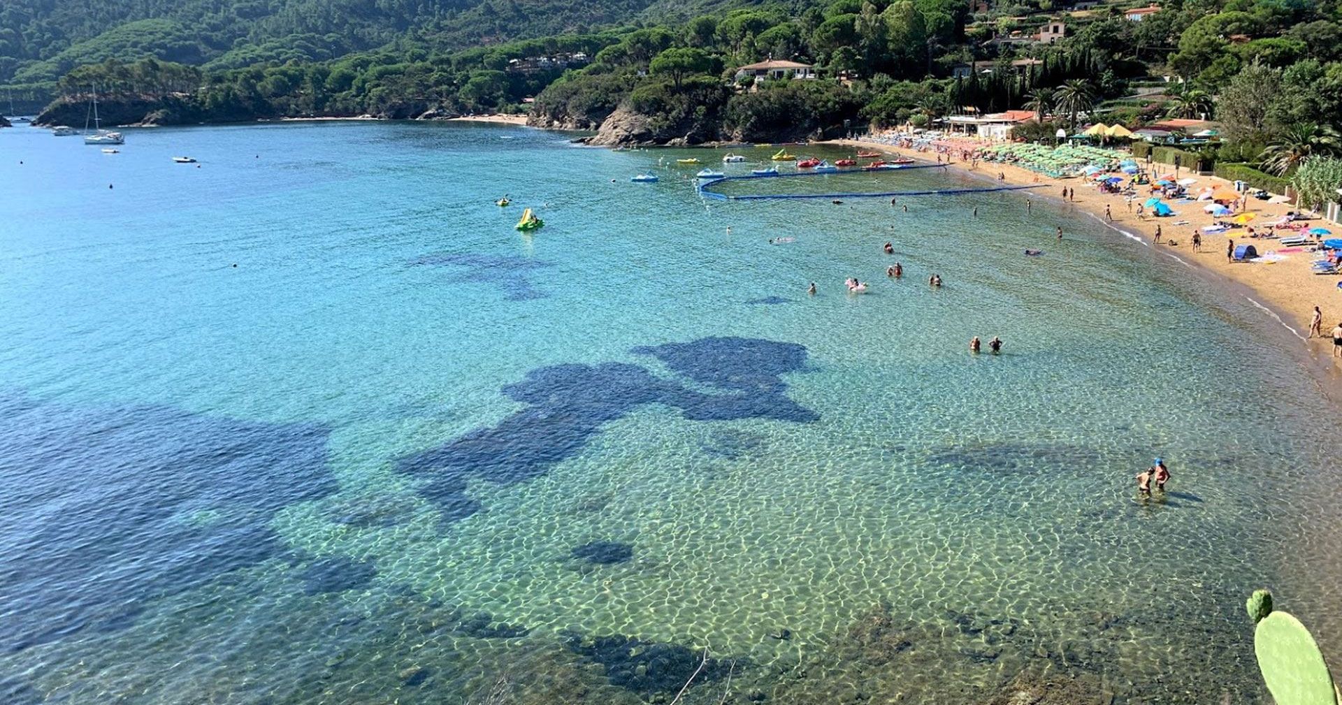 Une plage aux eaux claires et peu profondes, un rivage sablonneux et, en arrière-plan, des collines verdoyantes.