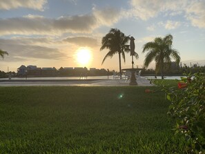 Un parque con una estatua, palmeras y un cuerpo de agua.