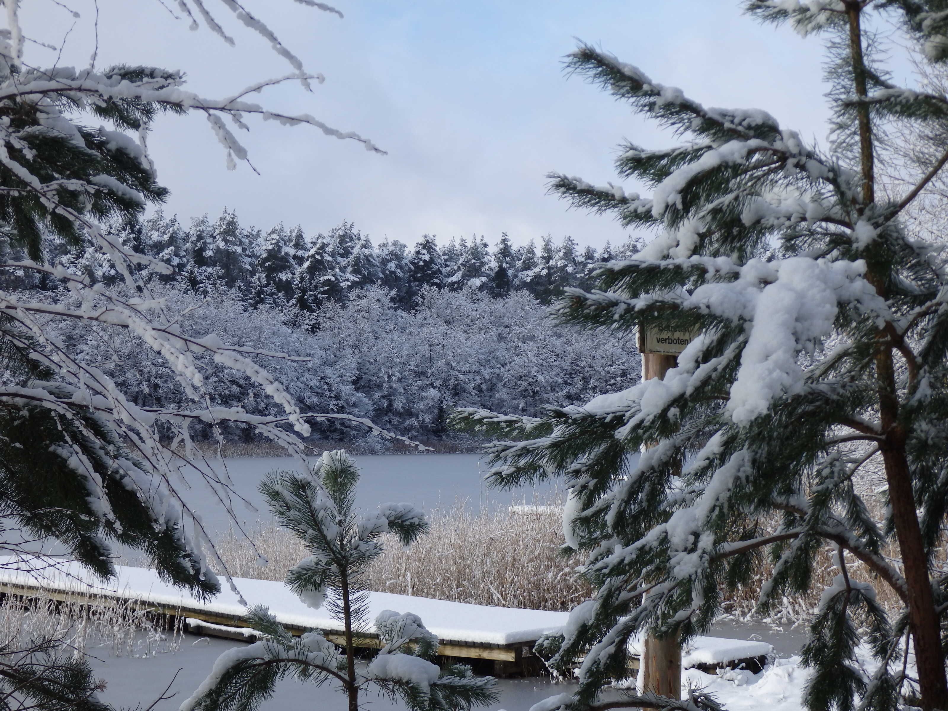 A snow-covered landscape with a lake, trees, and a wooden structure.