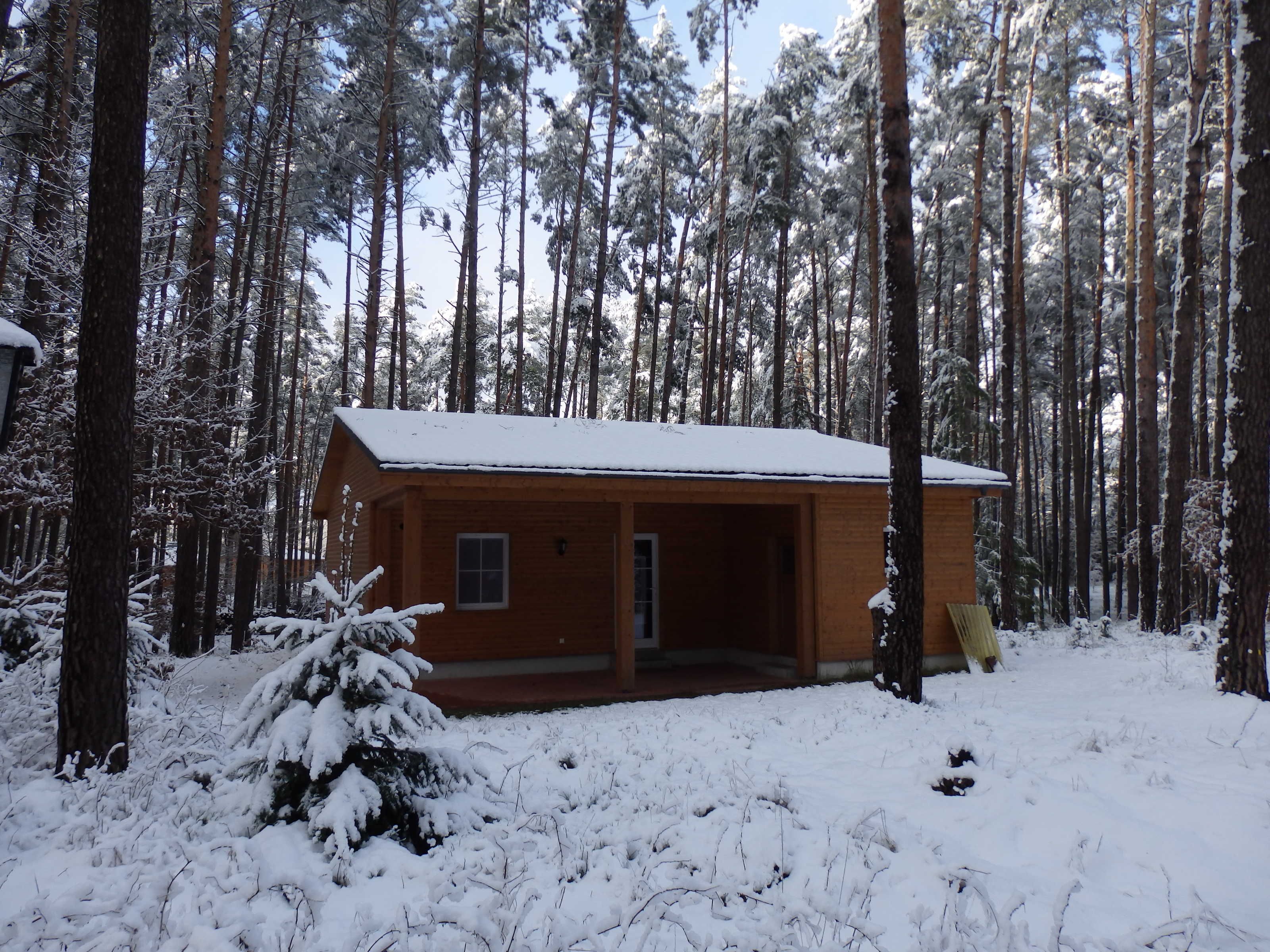 Eine Holzhütte, umgeben von einem verschneiten Wald.