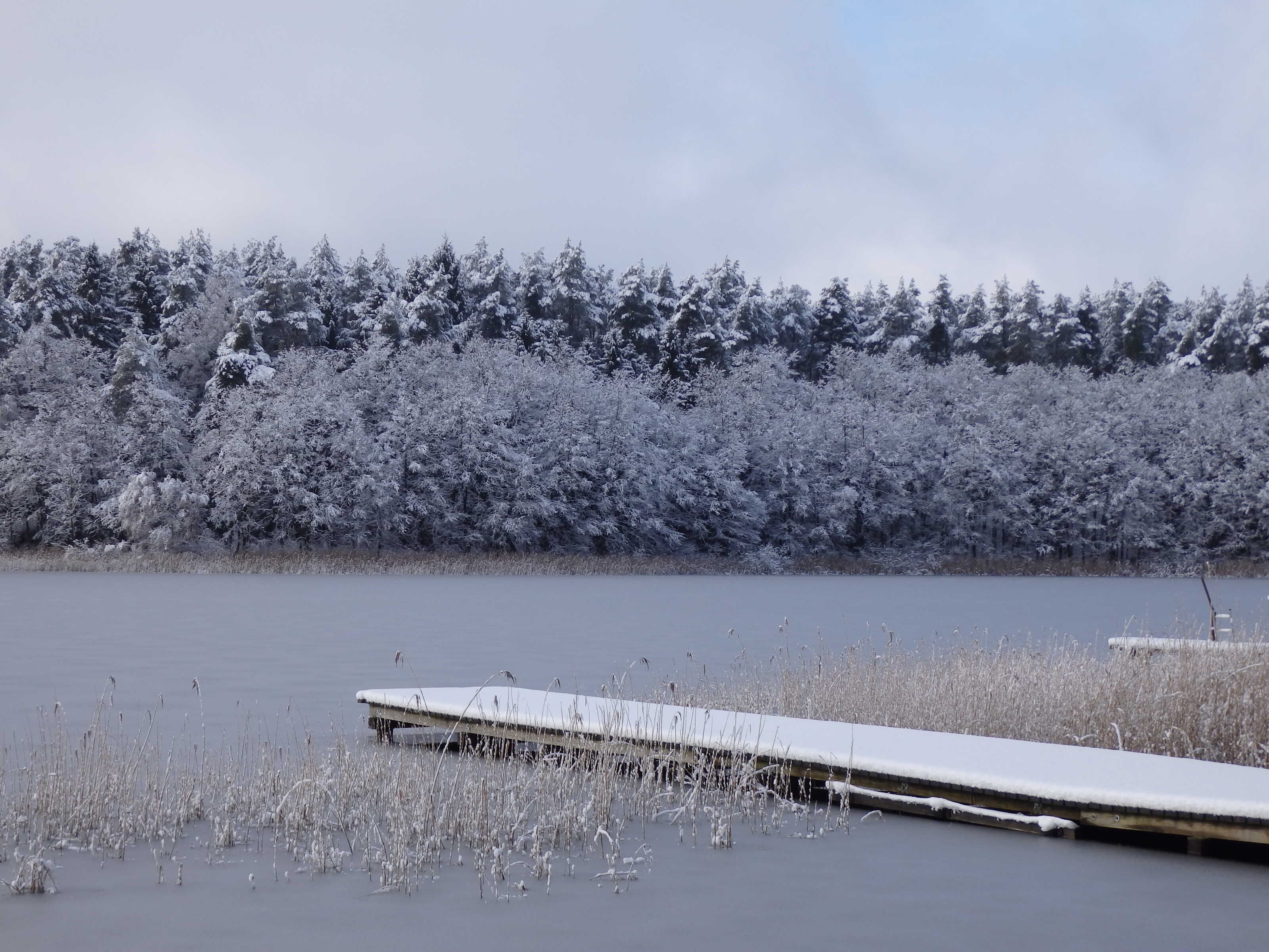 Un lago congelado con un muelle que se adentra en el agua, rodeado de árboles cubiertos de nieve.