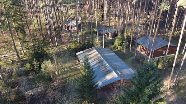 A cabin surrounded by tall trees, with a metal roof and a wooden structure nearby.