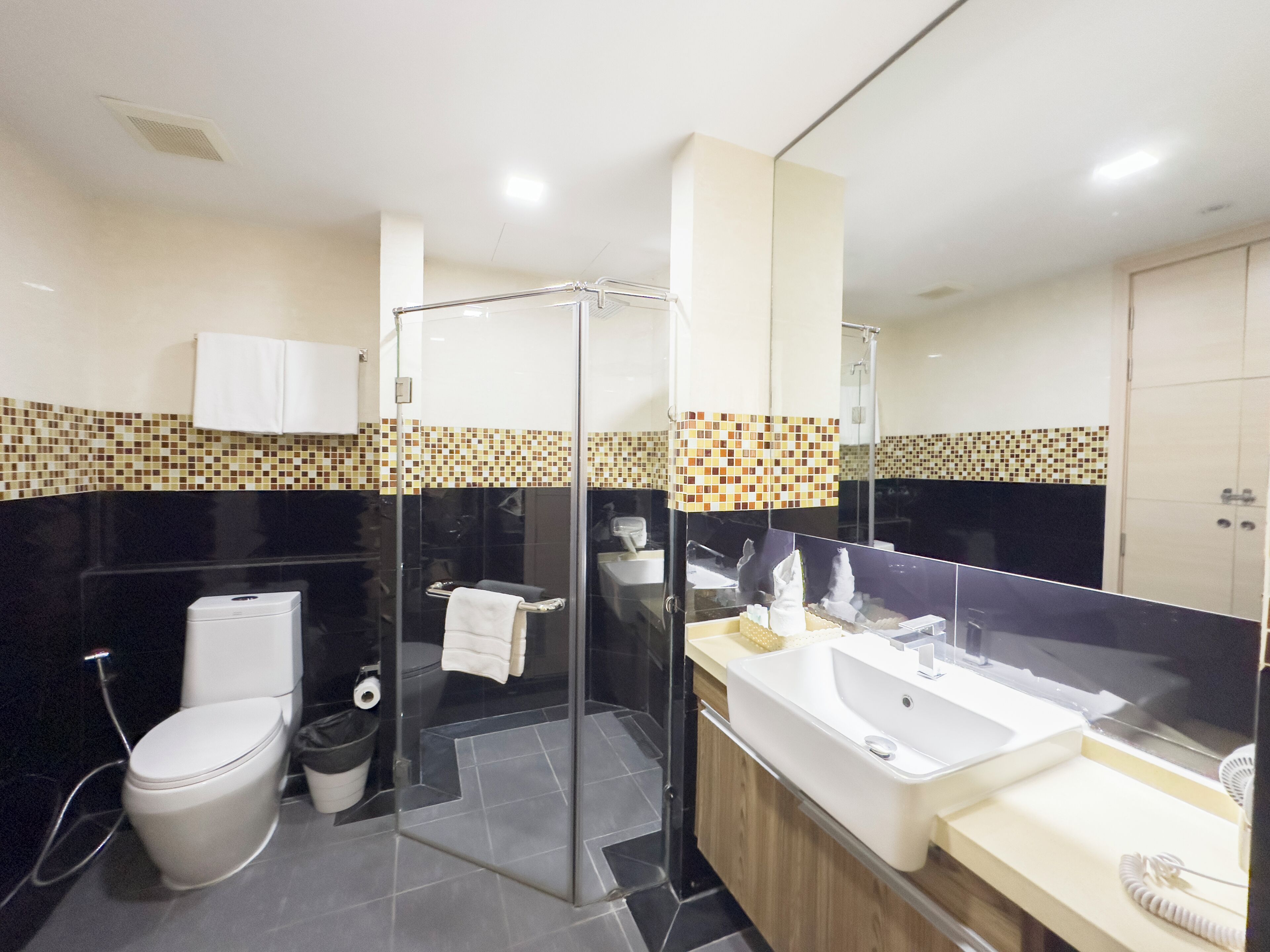 A modern bathroom with a glass shower enclosure, a toilet, a sink, and a mirror.