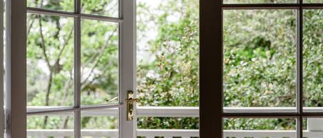 A view through a window with a white wooden frame and a metal latch.