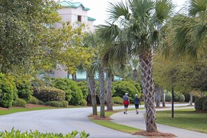 Property grounds - Warwick 203 Oceanfront - Great views of Ocean and Pool, Clubhouse Access (Pawleys Island)