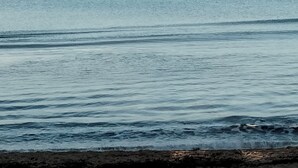 Ein Strand mit ruhigem Wasser und felsiger Küste.