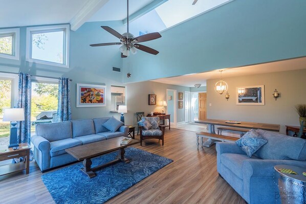 Smart TV, fireplace, DVD player, video library