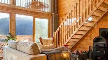 TV, fireplace, books, stereo