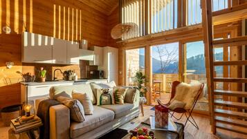 TV, fireplace, books, stereo