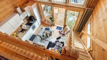 Télévision, cheminée, livres, chaîne hi-fi