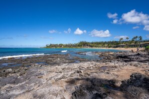 On the beach - Napili Shores E-238 is your perfect island getaway. (Napili)