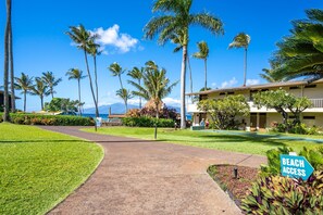 Property grounds - Napili Shores E-238 is your perfect island getaway. (Napili)