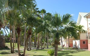A courtyard with palm trees and a building.