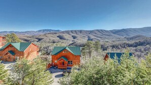 A lodge with multiple wooden cabins, each featuring a green roof, surrounded by a forested mountain landscape.