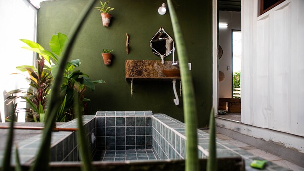Un baño con ducha empotrada revestida con azulejos, un lavamanos pequeño y un espejo. Hay plantas en macetas en la pared y una ventana que proporciona luz natural.