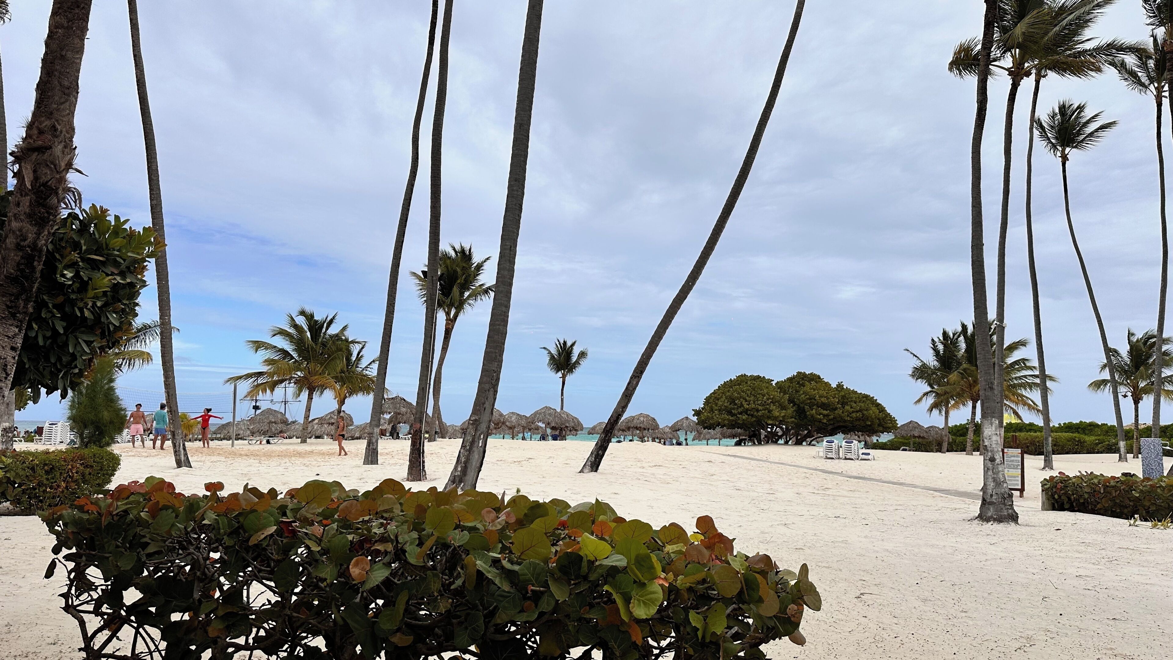 Apartamento superluxo | Terraço/pátio