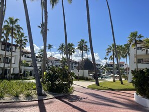 Jardín