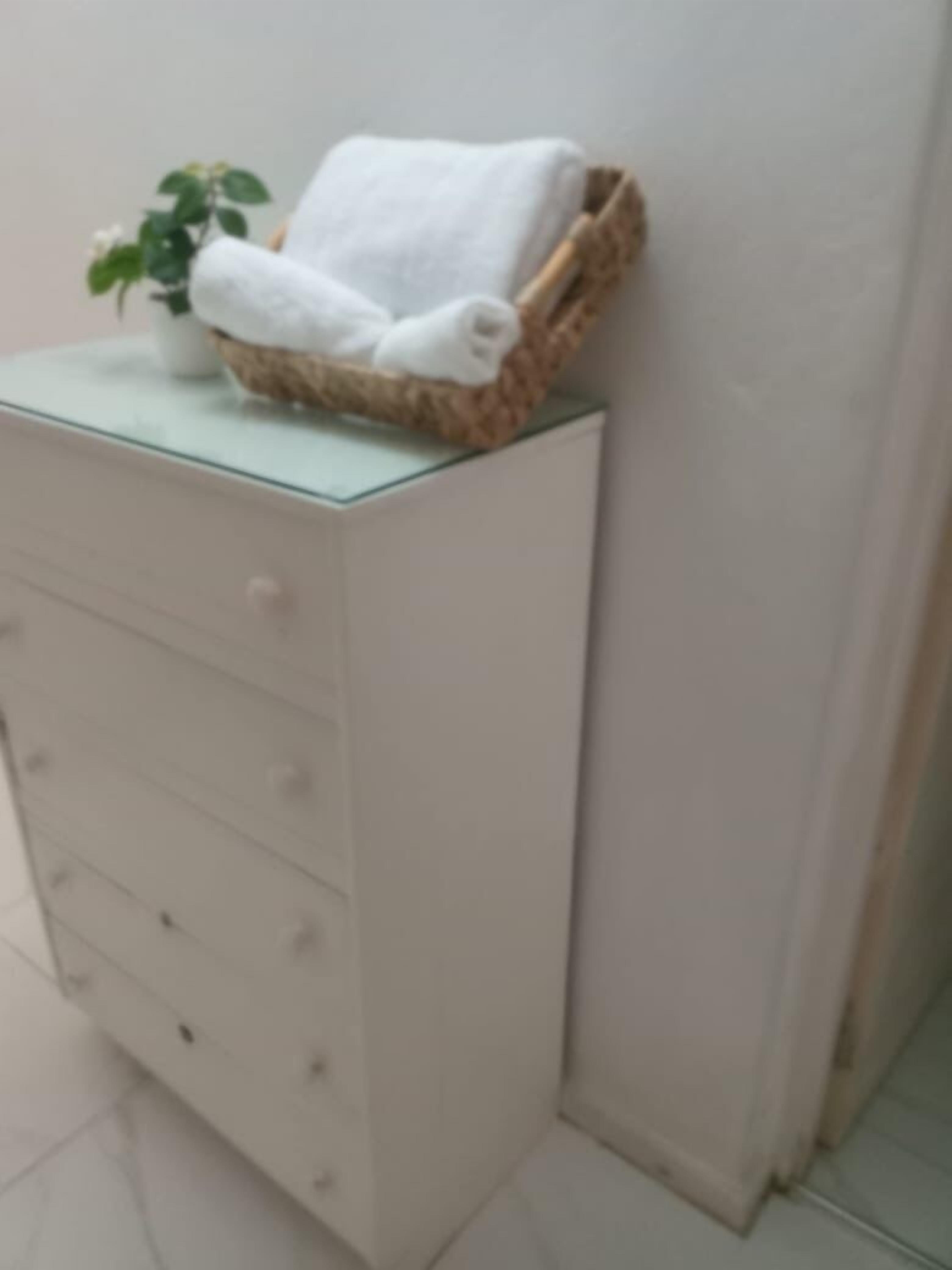 A bathroom with a white cabinet, a towel, and a small plant.