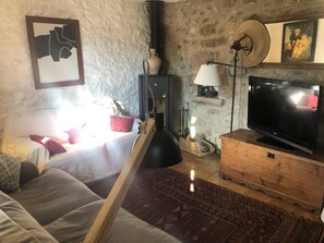 TV, fireplace, table tennis, books