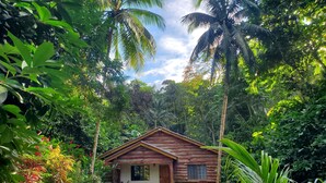 A rustic wooden cabin surrounded by dense tropical foliage.