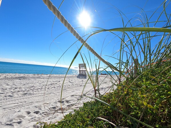 On the beach - Amazing ocean view studio 14 floor. Free valet parking. (Miami)