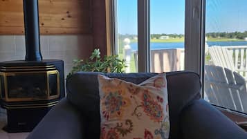 Smart TV, fireplace, books