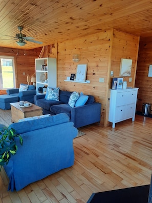 Smart TV, fireplace, books