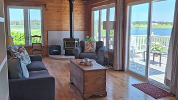 Smart TV, fireplace, books