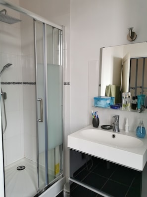 Shower, hair dryer, toilet paper