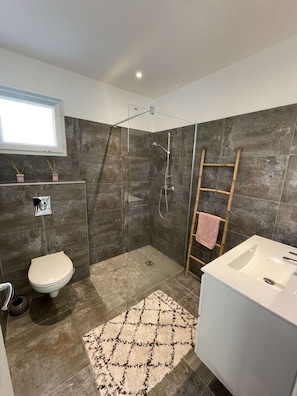 Shower, hair dryer, towels