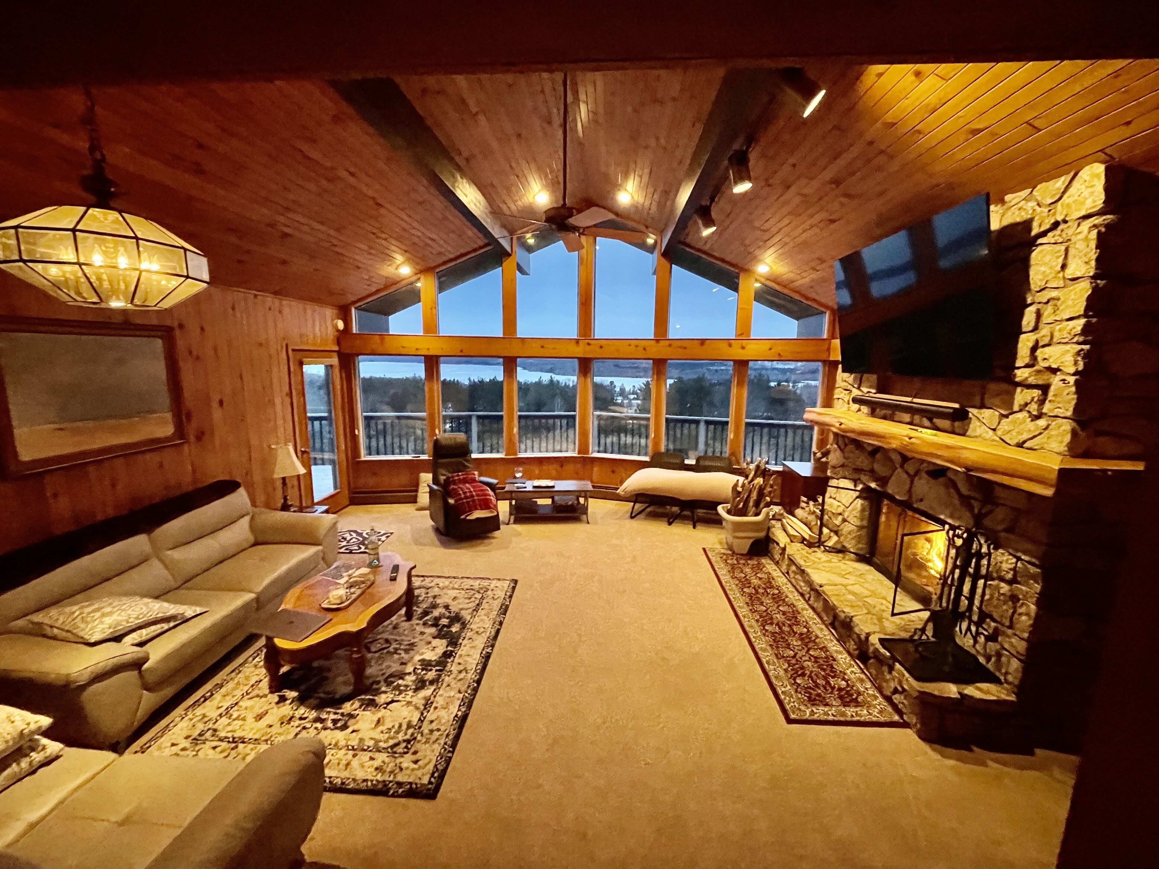 Smart TV, fireplace, DVD player, books