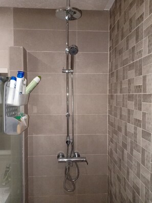 Shower, bidet, towels, soap