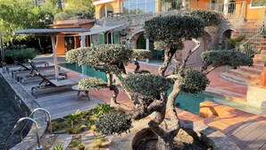 A pool area with a bonsai tree, lounge chairs, and a stone staircase.