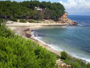 Nära stranden