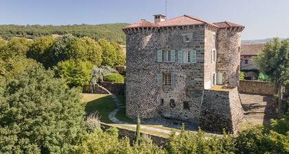 A luxurious chateau in the Auvergne in a remarkable setting!